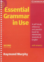 Essential grammar in use.pdf